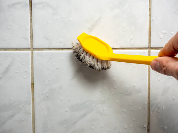 Best Same-Day Mold Removal  in Fords Prairie, WA