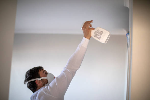 Best Attic Mold Removal  in Fords Prairie, WA