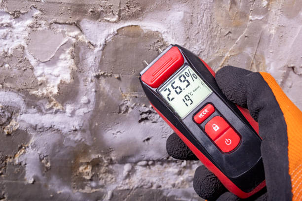 Best Mold Removal Near Me  in Fords Prairie, WA