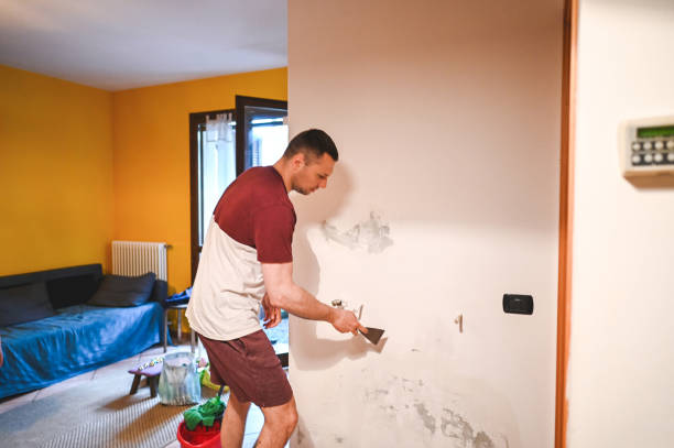 Best Office Mold Removal Services  in Fords Prairie, WA